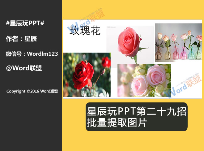 佳能镜头编号在哪里97国产色伦在色在线播放，佳能镜头编号在哪里，解锁摄影新知识