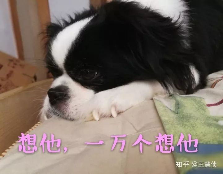 玉米美容av天堂久久天堂av色综合，天然的秘密武器，让你肌肤焕发光彩